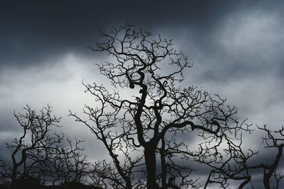 Low angle view of bare tree against cloudy sky