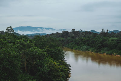 Serene rural scenery in a misty morning which is located in manek urai, malaysia.