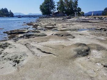 Scenic view of beach against clear sky