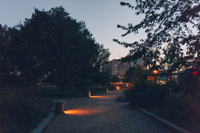 Illuminated trees against sky at night
