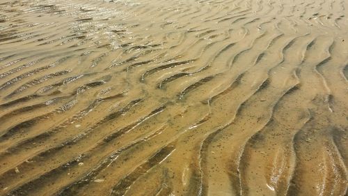 Full frame shot of wet sand