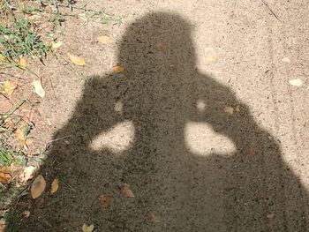 Shadow of man on ground