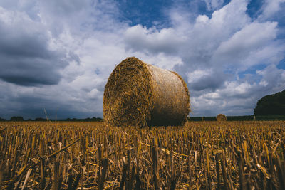 Hay bales in wheat field against sky