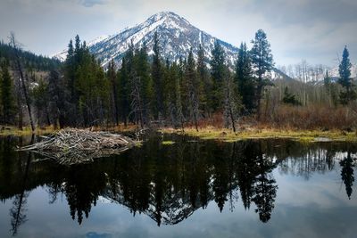 Scenic view of lake by trees against sky