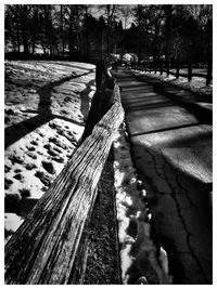 Shadow of trees on wood