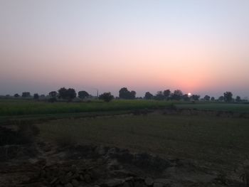 Scenic view of field against clear sky at sunset