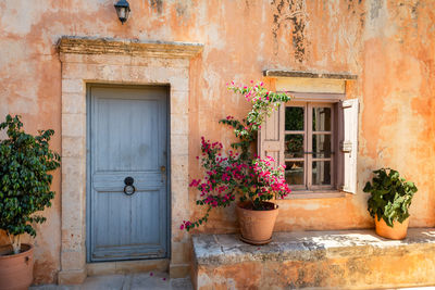 Potted plants on wall of building