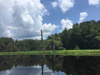 Reflection of trees in lake