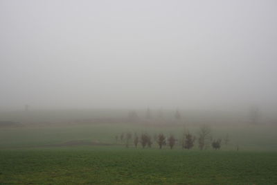 Scenic view of field against sky during foggy weather