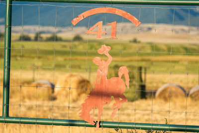 Close-up of rooster