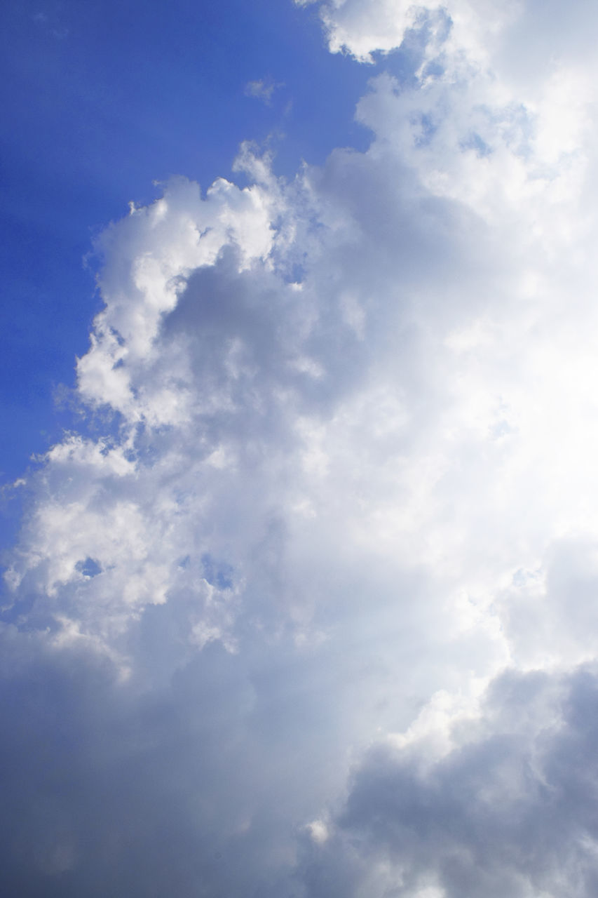 LOW ANGLE VIEW OF CLOUDS IN SKY