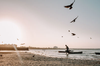 View of birds flying over beach