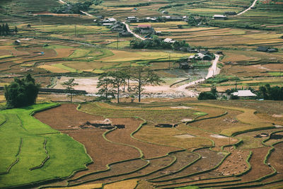 Aerial view of agricultural field