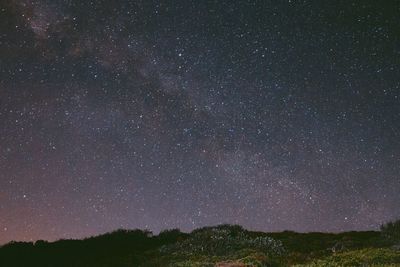 Low angle view of stars in sky at night