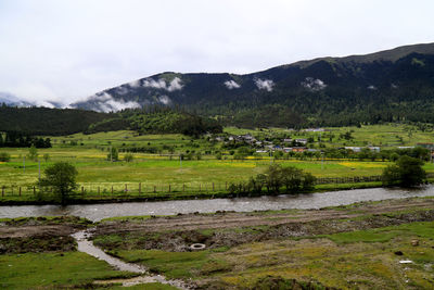 Scenic view of agricultural field against sky