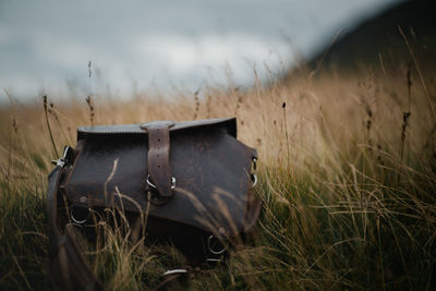 Leather satchel in nature