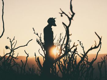 Silhouette man with animal mask standing on landscape