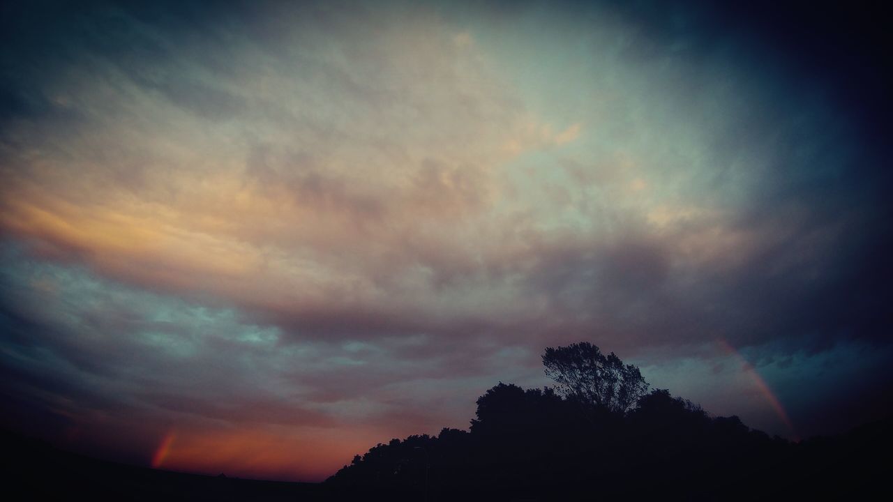 SILHOUETTE TREES AGAINST CLOUDY SKY