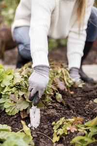 Low section of woman planting in garden