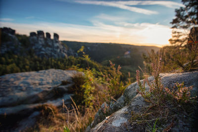Scenic view of landscape against sky during sunset
