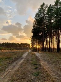 Dirt road amidst trees against sky during sunset