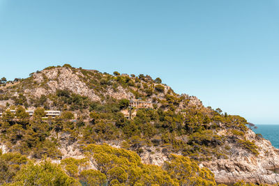 Coastal landscape with rocky hills and trees. shore on costa brava in spain