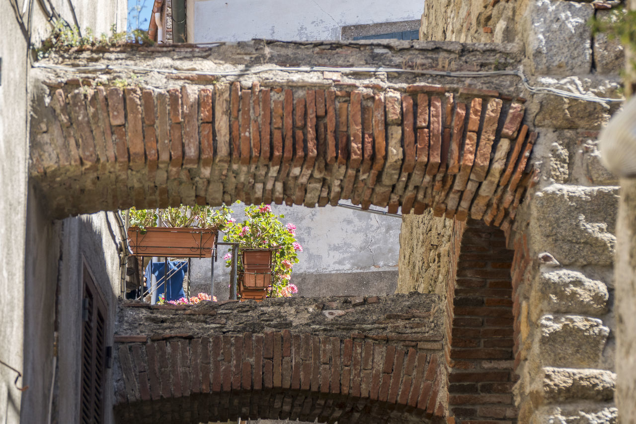 POTTED PLANTS ON OLD BUILDING