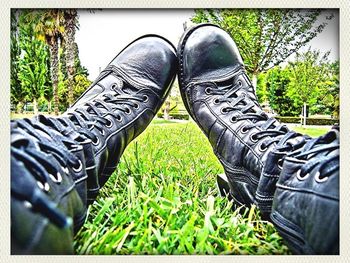 Low section of person standing on grassy field