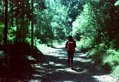 Rear view of woman walking on footpath in forest