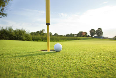 Golf ball on grass