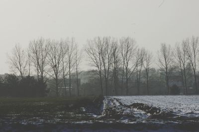 Bare trees on snow covered land against sky