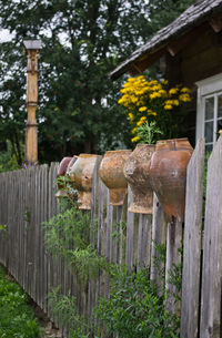 Close-up of wood against trees