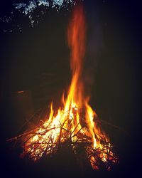 Close-up of bonfire in forest at night