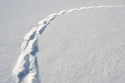 Footpath in deep snow