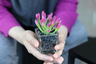 Close-up of hand holding flower pot