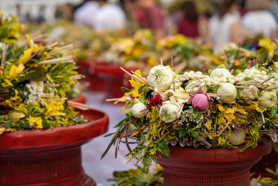 Close-up of flowers for worship the buddha 