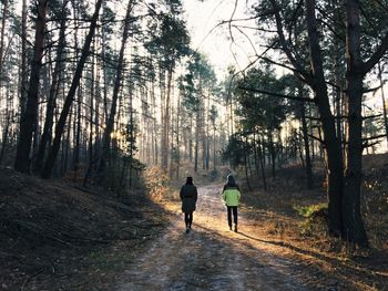 Rear view of man and woman walking on footpath in forest during winter