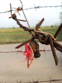 Close-up of hanging against sky