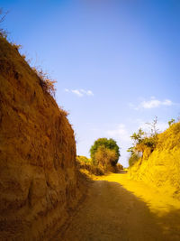Road amidst trees against sky