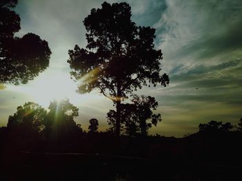Low angle view of silhouette trees against sky during sunset