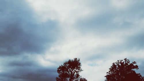 Low angle view of trees against cloudy sky