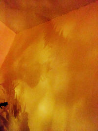 Low angle view of orange sky