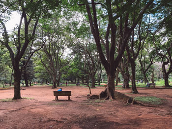 Rear view of man sitting on bench in park