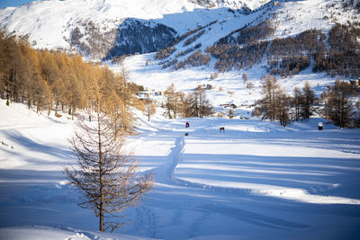 Scenic view of snow covered landscape and mountains