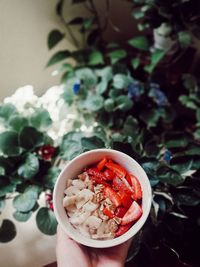 Close-up of hand holding oatmeal bowl 