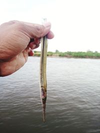 Close-up of hand holding fish at lake