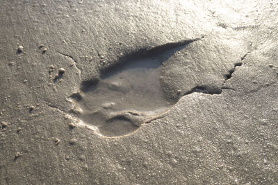 High angle view of footprints on sand