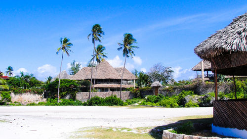 Houses by trees at beach against sky