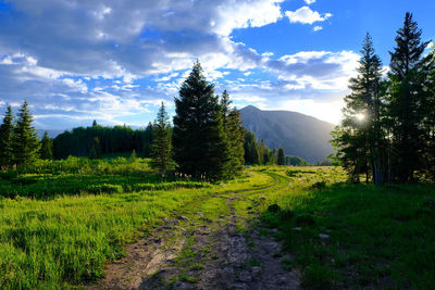 Scenic view of field against sky