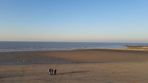 Dog on beach against clear sky